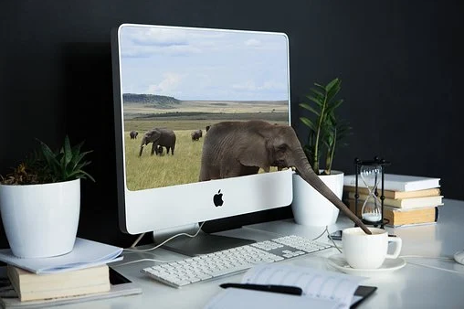 1619160549663559.png 微信圖片_20210423115955.png