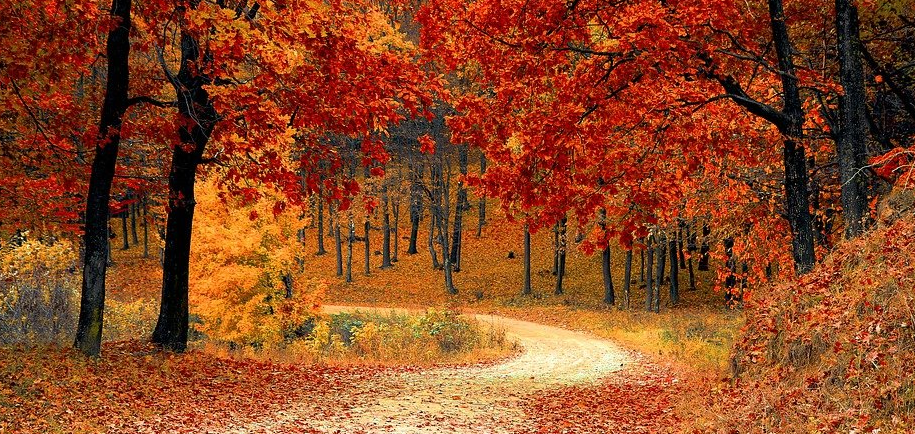 1619455626234091.png image.png